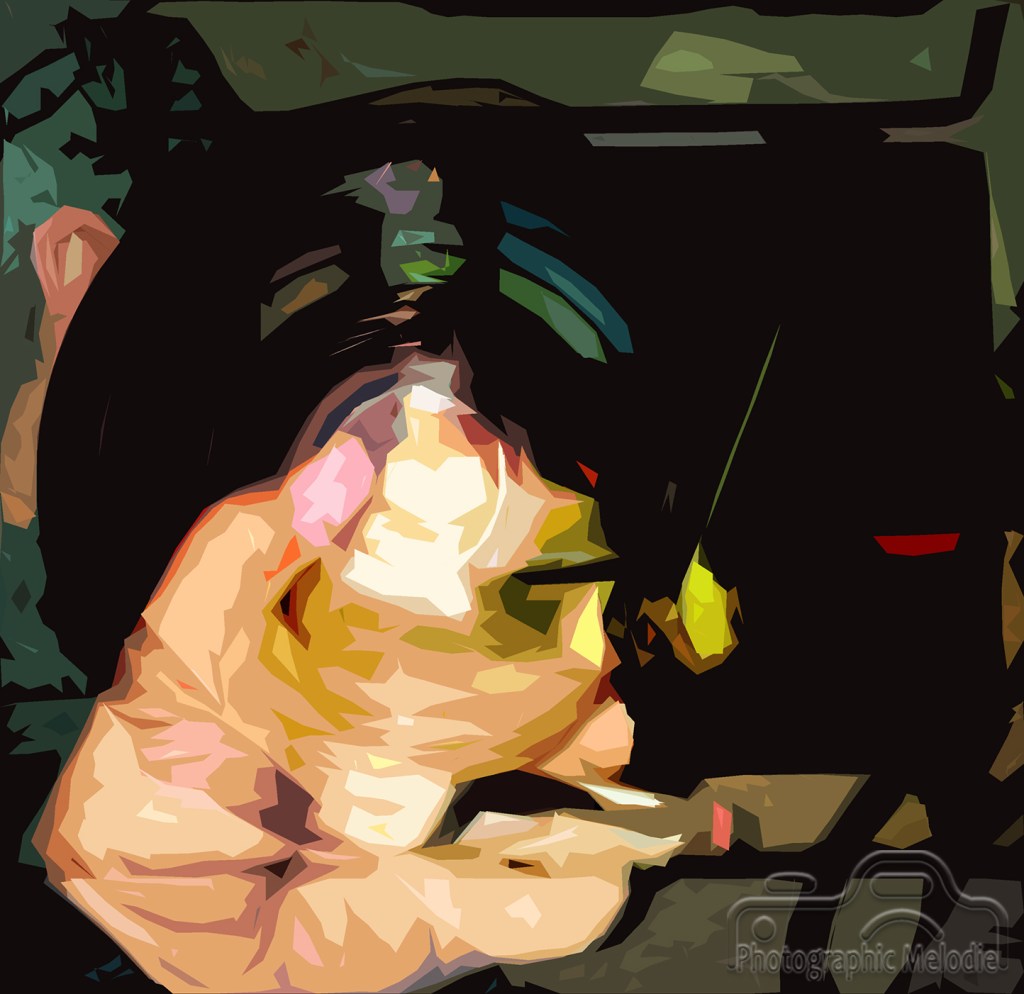 I Just Get Addicted to&nbsp;Things