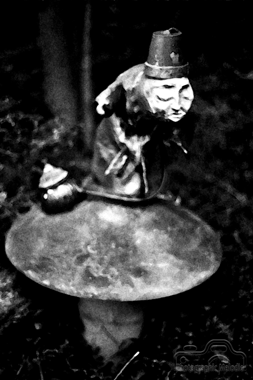 All These Wicked&nbsp;Things