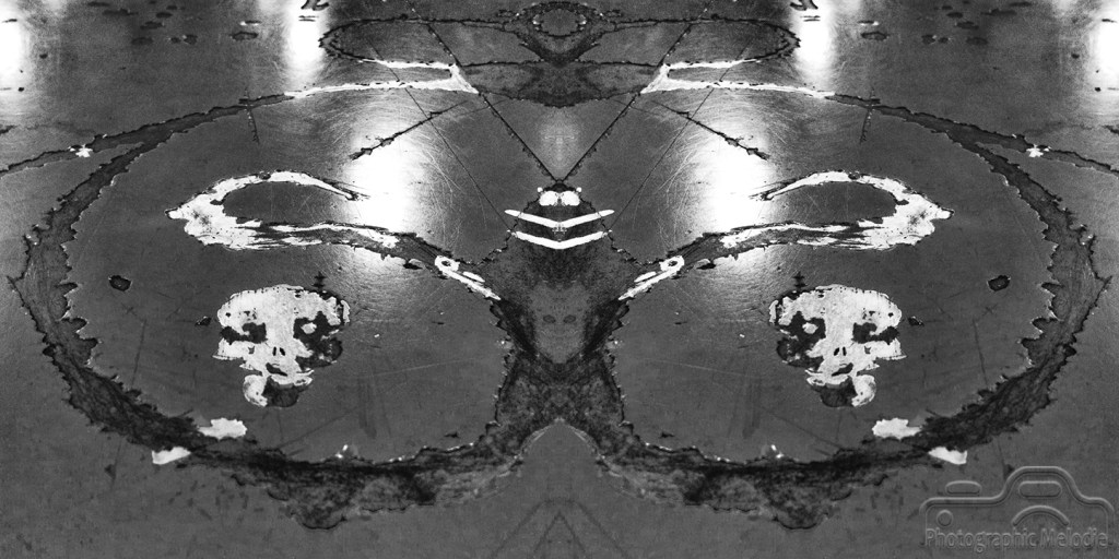 The Harmony of&nbsp;Symmetry