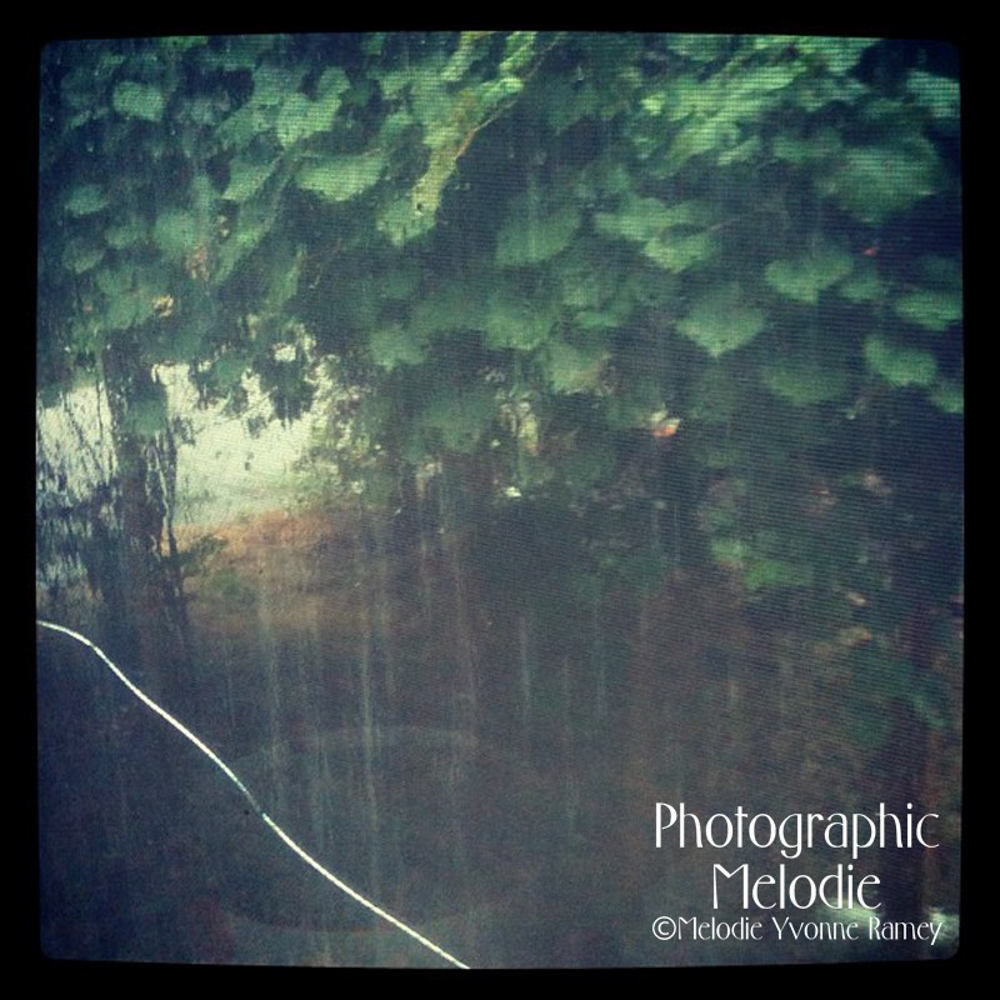 Safe From The&nbsp;Rain