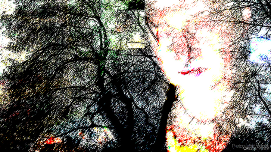 Falling Without Sound